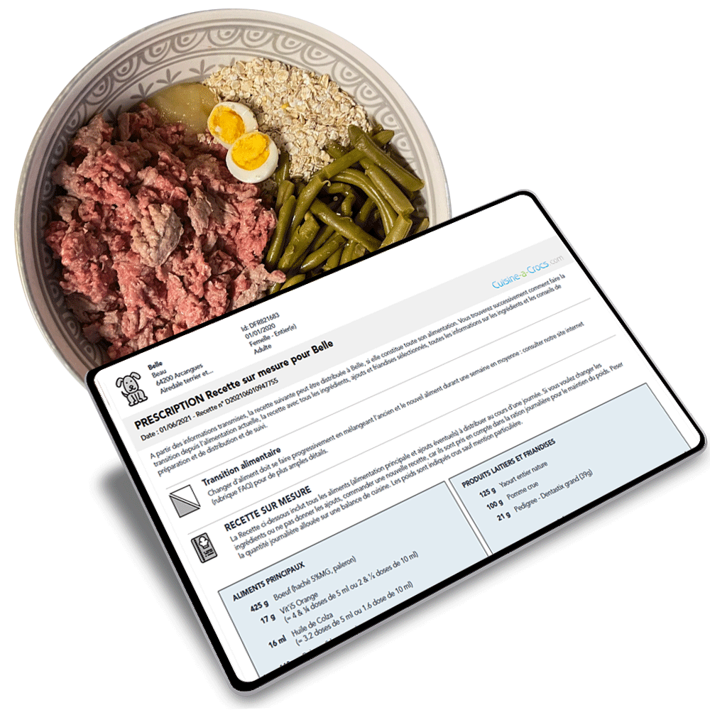 recette pour chien cuisine-a-crocs